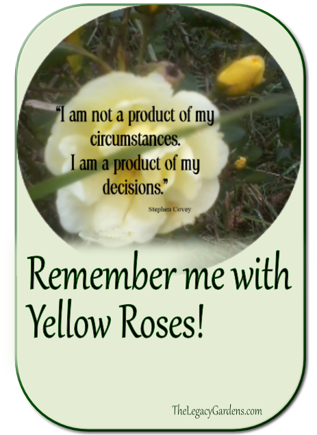 Remember me with Yellow Roses