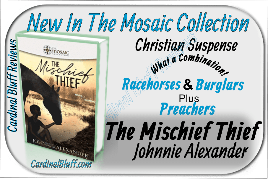 The Mischief Thief - Christian Suspense - Johnnie Alexander, author
