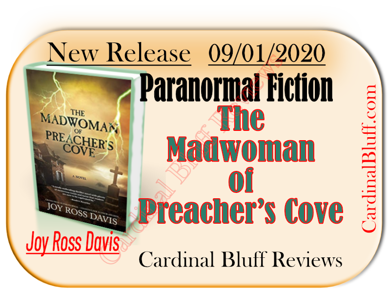 Paranormal fiction novel. Joy Ross Davis author